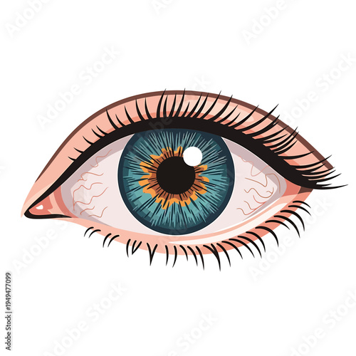 Detailed Blue Eye with Eyelashes and Veins