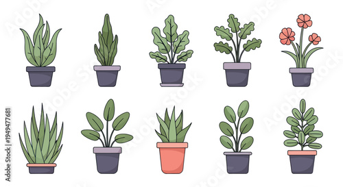 Collection of colorful houseplant illustrations in pots for decoration
