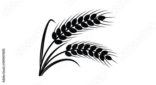Black and white illustration of two wheat stalks with leaves