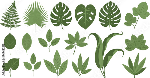 Tropical and Botanical Leaf Collection Vector Set Featuring Monstera Palm Fern Clover and Various Green Plant Leaves for Nature Design Isolated on White Background.
