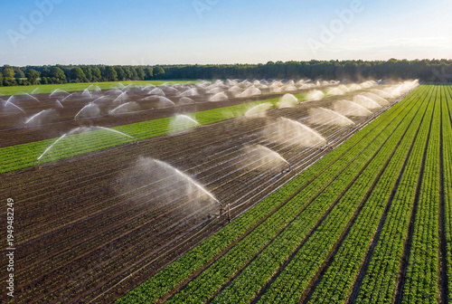 Aerial view of irrigation sprinklers watering vast agricultural field