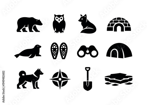 Arctic wildlife observation: polar bear, snowy owl, arctic fox, igloo, seal, snowshoe, binoculars, thermal tent, sled dog, compass, snow shovel, ice floe