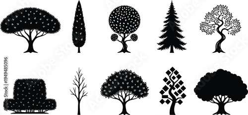 Collection of decorative and natural tree silhouettes including pine, cypress, leafy and bare trees isolated on white background for botanical vector design