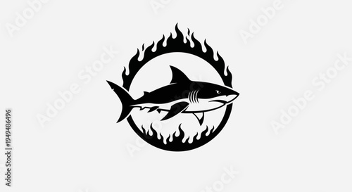 Collection of various colored cartoon hats in a flat vector style isolated