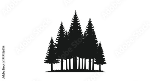 Silhouetted evergreen trees form a dense forest against a white background