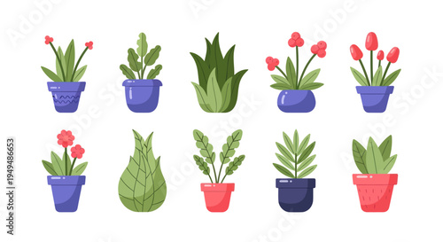 Collection of vibrant potted plants illustrations on a white background design