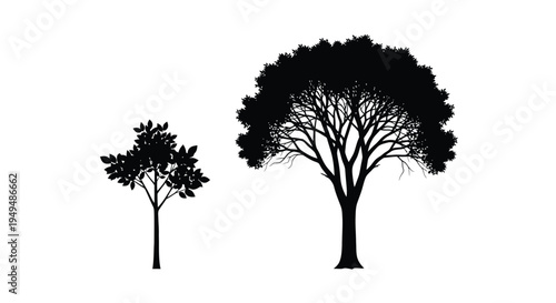 Silhouettes of two trees against a stark white background