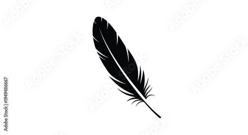 A single black feather isolated on a stark white background