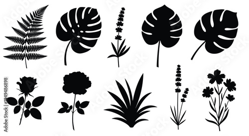 A collection of tropical leaves and flowers in black silhouette style