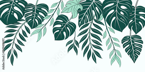 Tropical green monstera and palm leaves illustration, vector