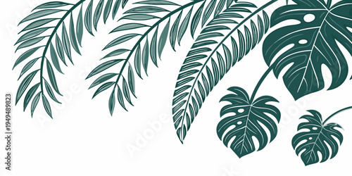 Tropical palm and monstera leaves illustration, vector