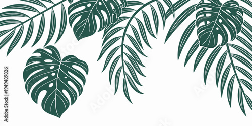 Dark green tropical palm and monstera leaf illustration, vector