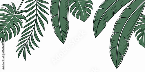 Tropical green foliage and monstera leaves border, vector
