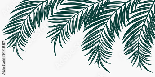 Dark green tropical palm leaves illustration, vector
