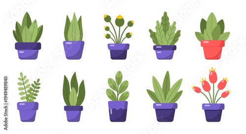 Collection of potted plants illustrations vibrant green leaves blue pots isolated