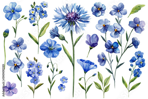 Blue flower watercolor clipart set with forget me not cornflower pansy and wild botanical elements isolated collection