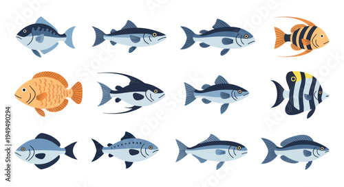 Colorful fish collection isolated on white aquatic life vector illustration