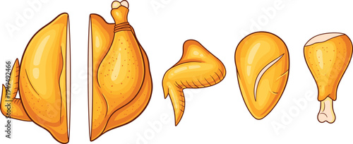 Fried chicken pieces vector set. Crispy golden poultry cuts including breast, wing and drumstick. Fast food chicken meat illustration.