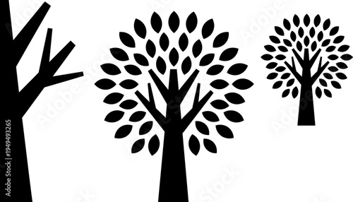 Tree silhouettes vector illustration featuring bare trunk, leafy branches, growth stages, and nature-inspired design motifs