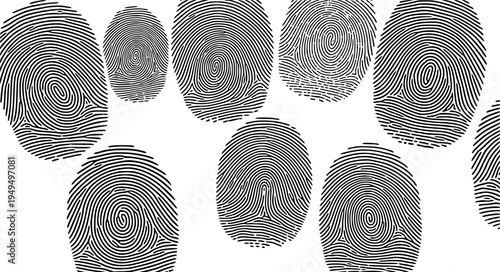 fingerprint Pattern: A series of intricate fingerprint patterns. Each unique mark tells a story of identity and individuality, a testament to the subtle details that make us all distinct