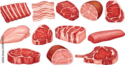 Raw meat cuts vector set. Beef, pork and chicken steaks with bacon and ribs. Butcher shop meat illustration collection.