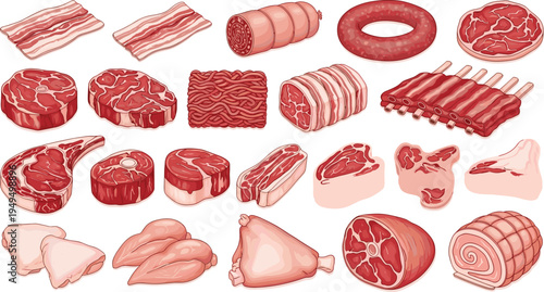 Butcher meat cuts vector collection. Pork, beef and lamb steaks, ribs, bacon and sausages. Butcher shop meat illustration set.