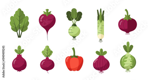 Colorful vegetables collection fresh produce illustrations for healthy eating