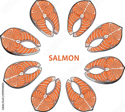 Salmon fish steak vector set. Fresh seafood salmon slices arranged in circle composition. Hand drawn seafood food illustration.