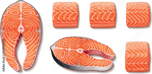 Salmon steak and fillet vector set. Fresh raw salmon fish cuts isolated. Seafood ingredient illustration collection.