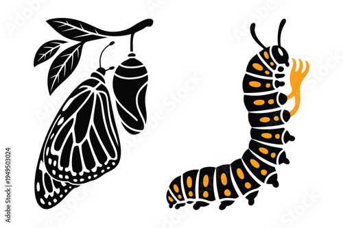 Butterfly life cycle stages: caterpillar, chrysalis and butterfly art