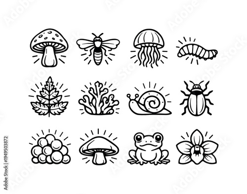 Bioluminescent forest creatures: glowing mushroom, firefly, luminescent jellyfish, glow worm, radiant fern leaf, bioluminescent coral, luminous snail, phosphorescent beetle