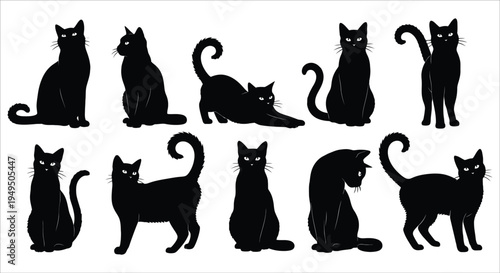 A collection of stylized black silhouettes depicting various cat poses and orientations