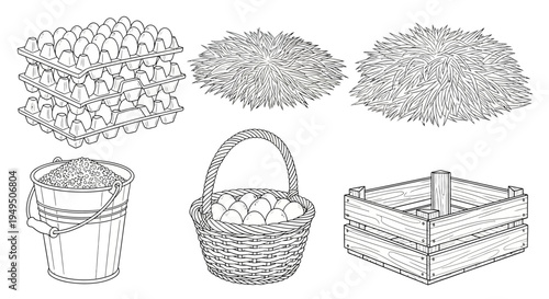 Assorted pine cones and rustic containers sketch collection.