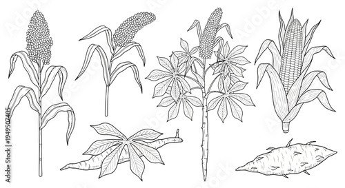 Collection of Hand-Drawn Plant and Flower Varieties in Botanical Study.