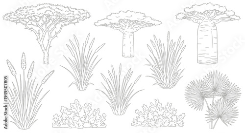 Assorted botanical sketches of grasses, shrubs, and flowers in grayscale.