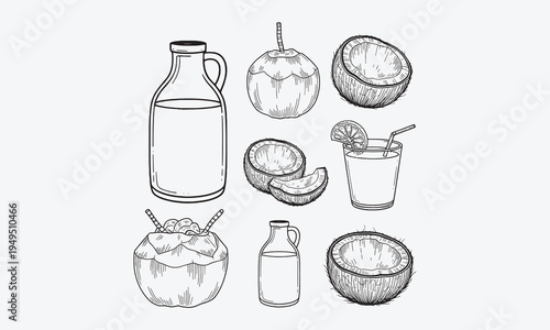 Coconut set, outline icon vector illustration. Hand drawn black line palm tree leaf from summer beach, whole tropical fruit and cut into slices,vector illustration2