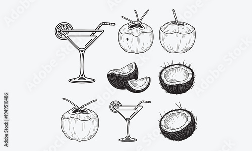 Coconut set, outline icon vector illustration. Hand drawn black line palm tree leaf from summer beach, whole tropical fruit and cut into slices,vector illustration2