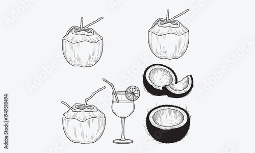Coconut set, outline icon vector illustration. Hand drawn black line palm tree leaf from summer beach, whole tropical fruit and cut into slices,vector illustration2