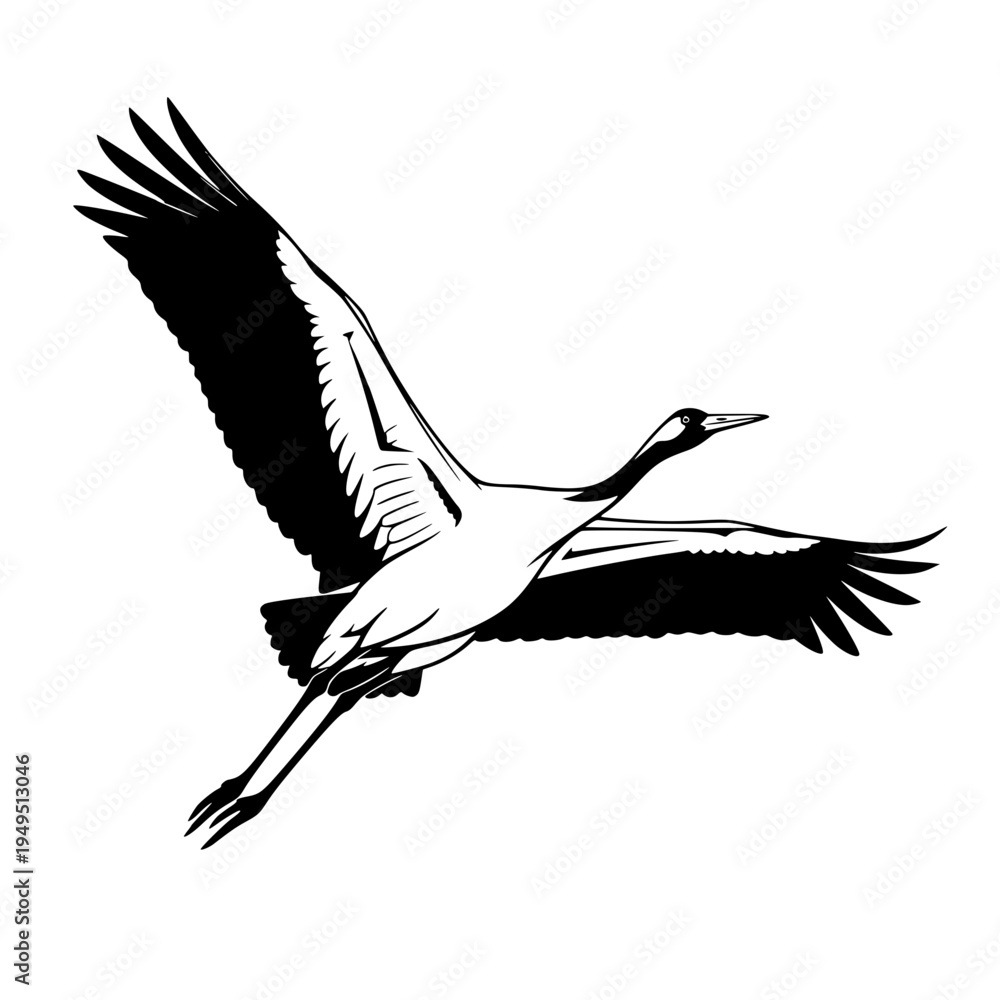 Naklejka premium A dynamic crane soaring gracefully, its wings outstretched in a majestic display of freedom. A study in contrasts, the image showcases the bird's silhouette against the sky.