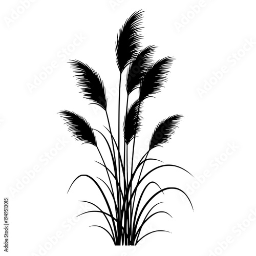 The silhouette of ornamental grass against a backdrop. Its delicate plumes sway gently, capturing the tranquil essence of nature's beauty and serenity.