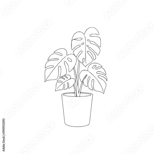 An artistic, illustrative depiction of a potted Swiss cheese plant, its elegant, hole-punched leaves displayed in stark contrast.