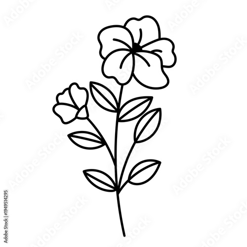 daisy icon. blooming garden plant. botanical floral branch. meadow decor