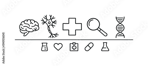 Neurology medical science exploring brain structure nerve signals and cognitive processes to improve diagnosis and treatment of neurological conditions, brain, neuron network