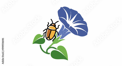 Vibrant illustration of a beetle on a morning glory flower.