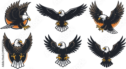 Majestic Bald Eagles in Flight and Perched Symbolizing Freedom and Strength.