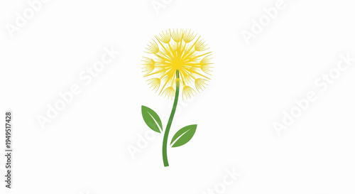 Vibrant Yellow Dandelion Flower with Green Stem and Leaves.