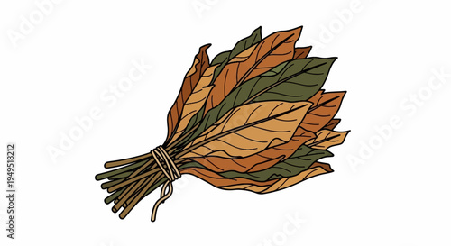 Bundle of Dried Tobacco Leaves Hand Drawn Illustration.