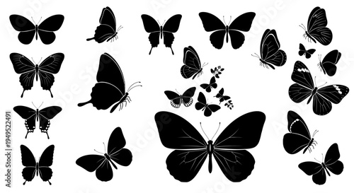 Silhouette Butterfly Collection Vector Art