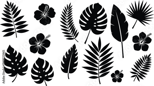 Collection of tropical leaves and flowers in black silhouette