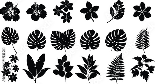 Collection of various leaf silhouettes on white background